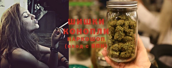 PSILOCYBIN Бронницы