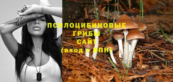 jwh Богородицк